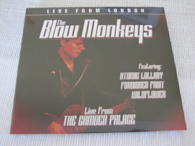 Blow Monkeys live from the Camden Palace cd muoveissa