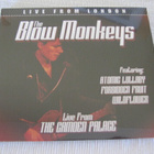Blow Monkeys live from the Camden Palace cd muoveissa - pikkukuva 1