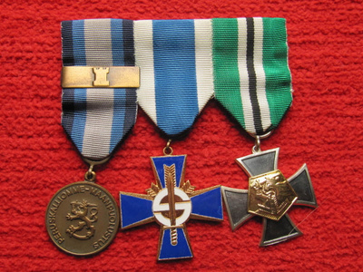 Ripa