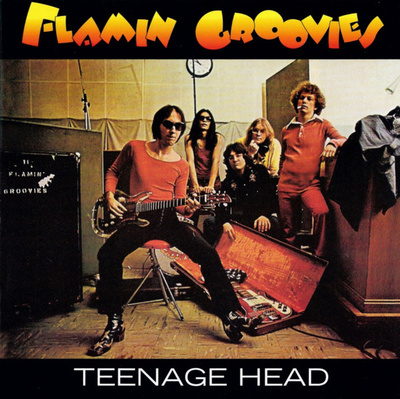 Flamin Groovies (CD+7) Teenage Head MINT!! Remastered