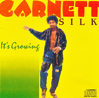 GARNETT SILK - ITS GROWING