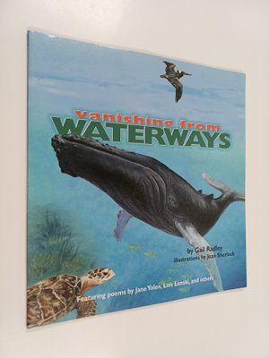 Gail Radley : Waterways