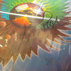 JOURNEY - EVOLUTION M-/M- LP GREDD ROLIEN NIMMARILLA - pikkukuva 2