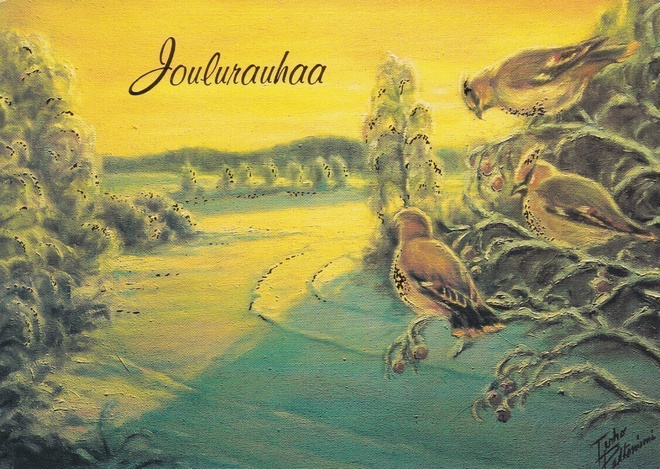 TERHO PELTONIEMI - TILHET PIHLAJASSA - 1