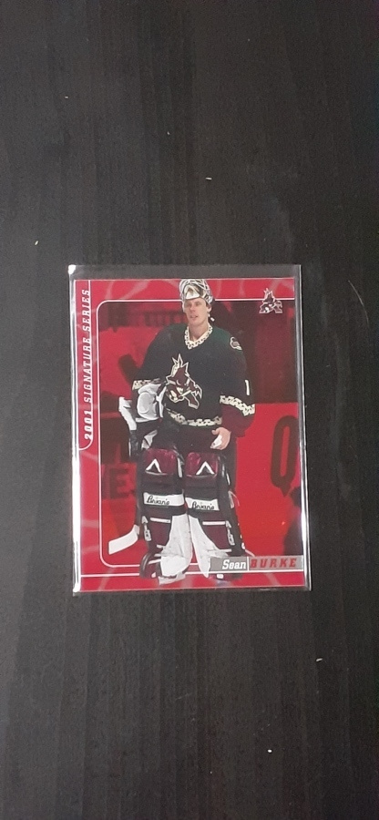 2000-01 ITG BAP Signature Series Ruby #74 Sean Burke /200
