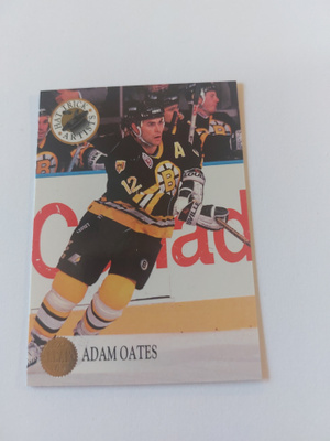 1993-94 Leaf Hat Trick Artists #8 Adam Oates