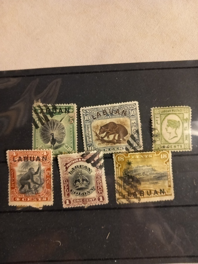 6 kpl labuan