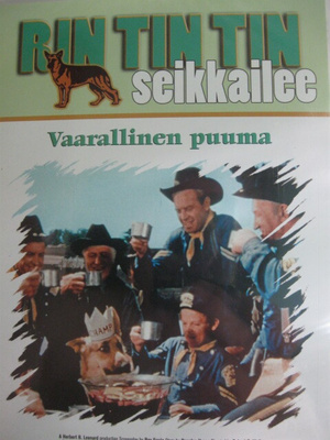 RIN TIN TIN DVD VAARALLINEN PUUMA