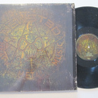 Newsted Heavy Metal Music 2 * LP Metallica GF - pikkukuva 1