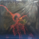 THE OFFSPRING - SUPERCHARGED - 2024 UUSI LP - pikkukuva 2