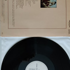 Ry Cooder – Borderline vinyyli lp - pikkukuva 2