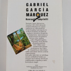 Gabriel Garcia Marquez : Kenraalin labyrintti - pikkukuva 2