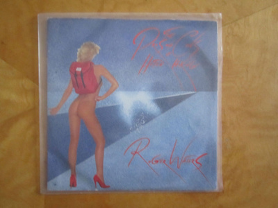 ROGER WATERS - THE PROS AND CONS OF HITCH HIKING -single