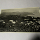 Koli (o) - pikkukuva 1