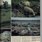 Pirkka n:o 11 1981 Keräily. Jurmo. Paimio. Pohjanmaa. - pikkukuva 2
