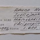 Rauno Nummi "Hämeensilta" - pikkukuva 4