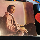 Paul Simon Greatest Hits  etc. Us Lp 1977 some RW inn - pikkukuva 1