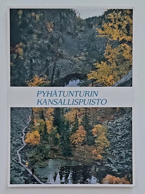 "PYHÄTUNTURI-ISOKURU"-KULKEMATON POSTIKORTTI