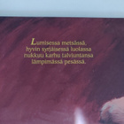 Karma Wilson; Karhua nukuttaa (Vau'kirja) - pikkukuva 2