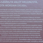 Leena Sammallahti/ Marja-Liisa Lehto: Suomalainen sänky - pikkukuva 2