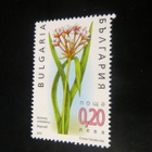Bulgaria 2003: kasveja - pikkukuva 2