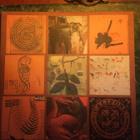 (2LP) Califone – All My Friends Are Funeral Singers - pikkukuva 1