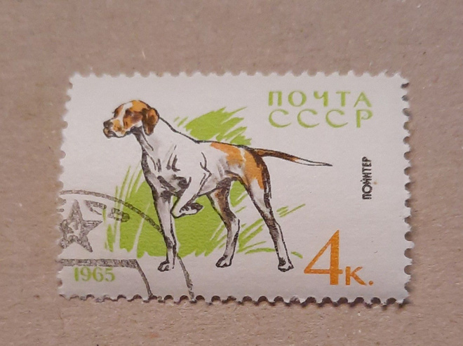 Cccp joku koira,1965