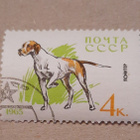 Cccp joku koira,1965 - pikkukuva 1
