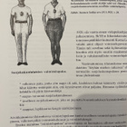 Suojeluskunta urheilupaidan merkki Turun piiri - pikkukuva 2