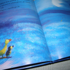 Jane Simmons Aurora ja kuu - pikkukuva 3