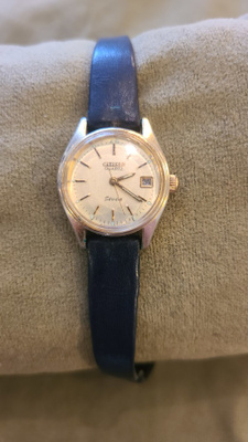 Citizen Seven