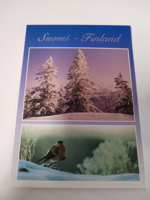 Talvinen kortti,kulkematon.