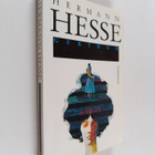 Hermann Hesse : Gertrud - pikkukuva 1