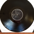 LP Hoodoo Gurus "Kinky" - pikkukuva 5