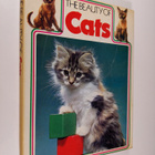 Howard Loxton : The Beauty of Cats - pikkukuva 1
