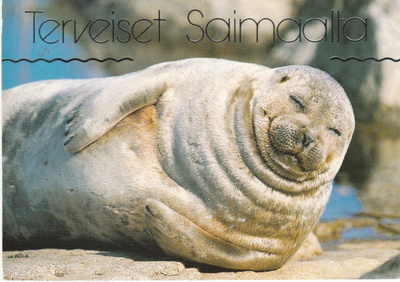 Postikortti, NORPPA, Terveiset Saimaalta