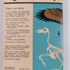 Fåglar som hobby - pikkukuva 2