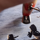 Pflueger palomine vaappu - pikkukuva 5