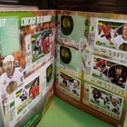 NHL LNH HOCKEY 2010-11 STICKER ALBUM PANINI ( 189 TARRAA) - pikkukuva 4