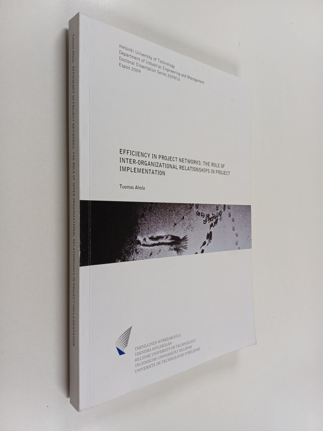 Efficiency in project networks : the role of inter-organi...