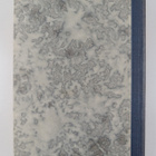 J. O. Ikola : Vaasan Jaakkoo Rapakon takana 1947-1948 : m... - pikkukuva 2