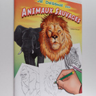 Thierry Beaudenon : Je dessine des animaux sauvages - pikkukuva 1