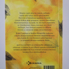 Riitta Castren : Enemmän elossa : tarinoita uuden löytämi... - pikkukuva 2
