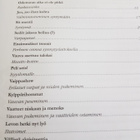 Sami Garam : Tuoreen isän kirja - pikkukuva 2