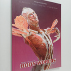 Gunther von Hagens' Body worlds - pikkukuva 1
