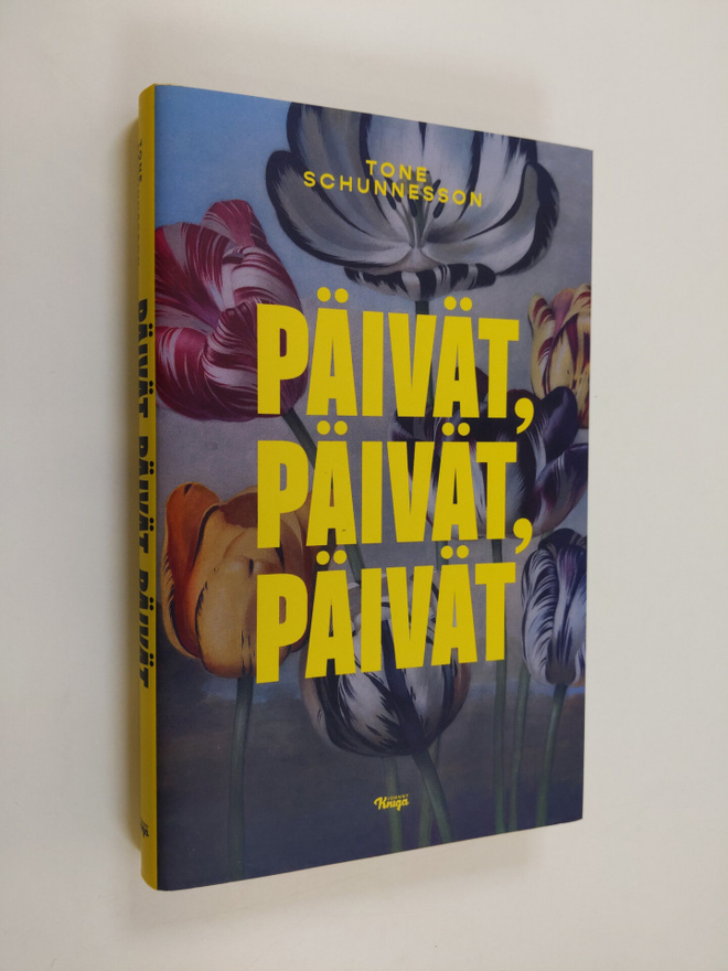 Tone Schunnesson : Päivät, päivät, päivät : romaani