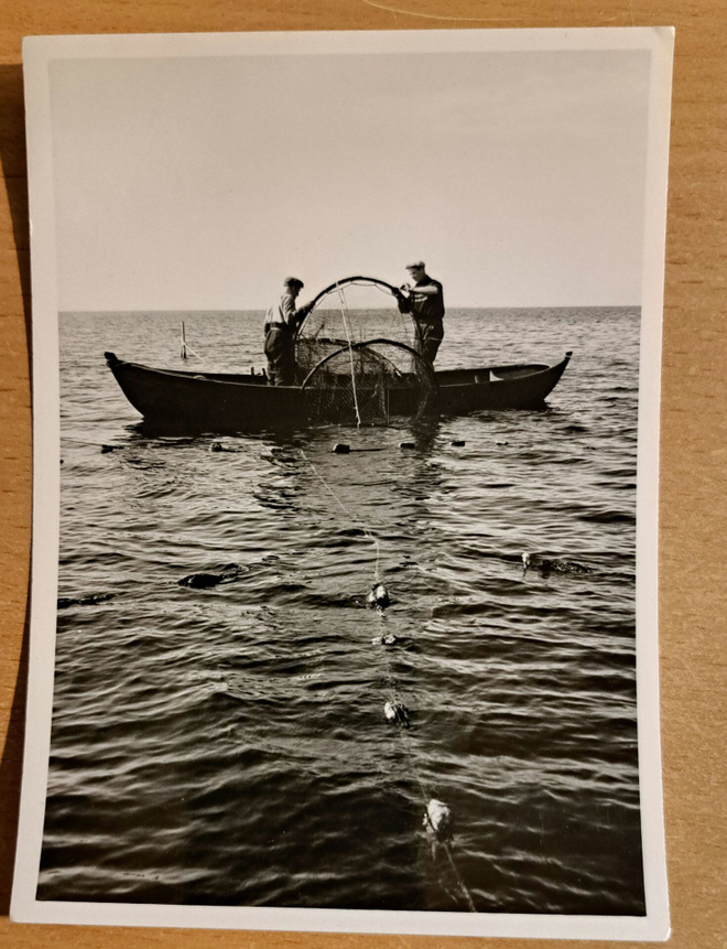 lohirysää lasketaan merellä, kuvattu 1960-luvulla