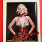 Les Sex Symbols, Seksisymbolit kirja, elokuvakirja - pikkukuva 1