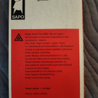 Edgar Allan Poe: Korppi ja kultakuoriainen - pikkukuva 2