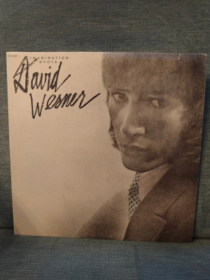 LP David Wesner: Imagination quota